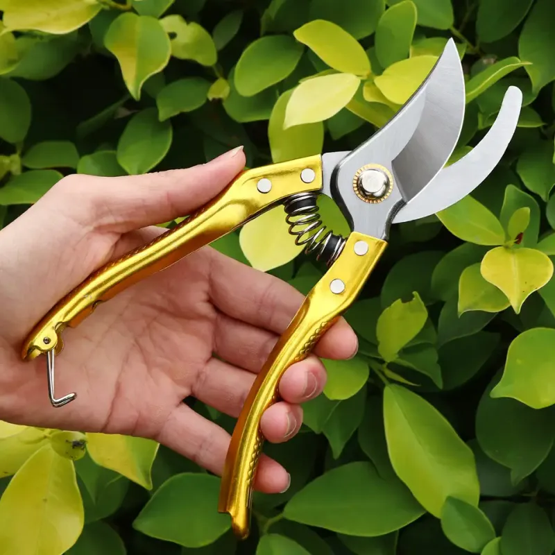 Fancy Pruning Shears