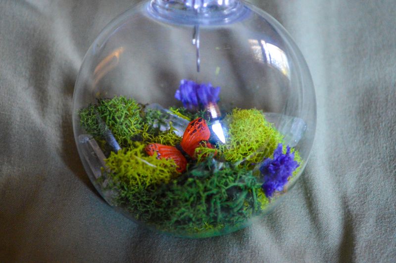 Terrarium Ornaments