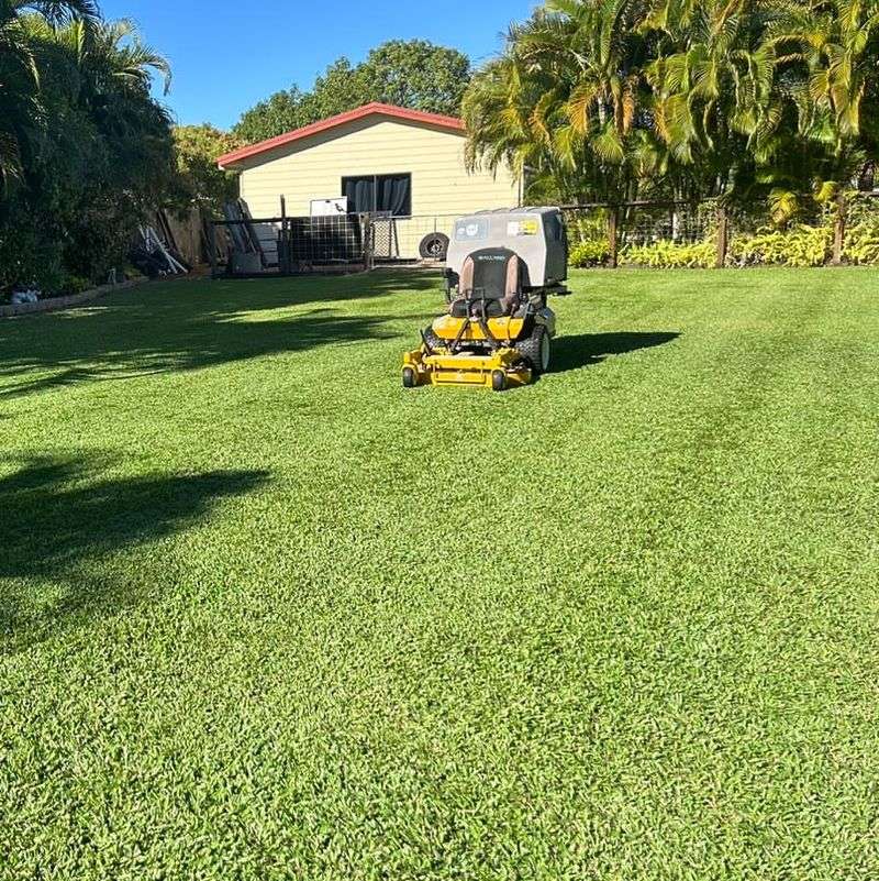 Regular Mowing