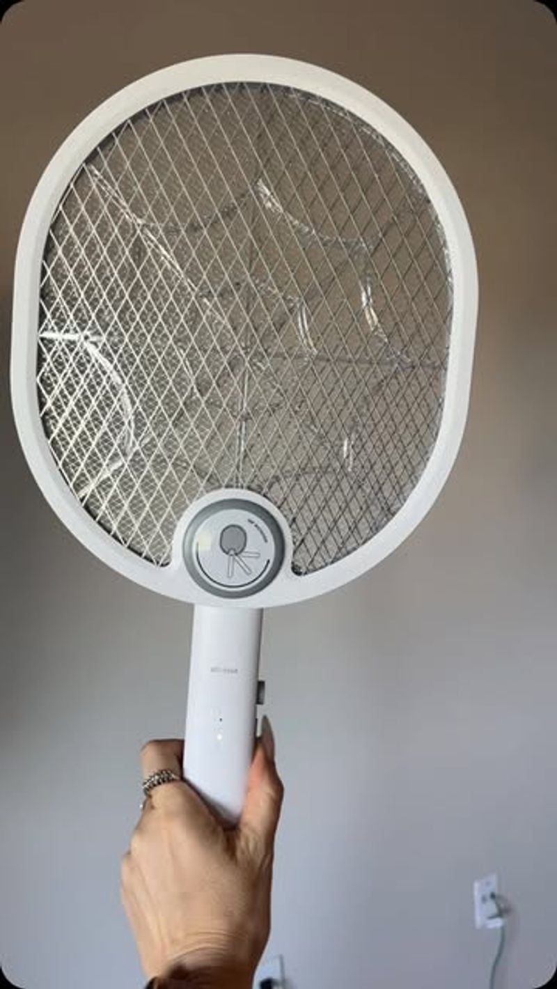 Electric Fly Swatters