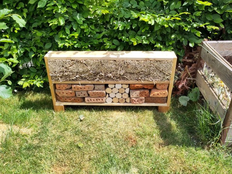 Construct a Bug Hotel