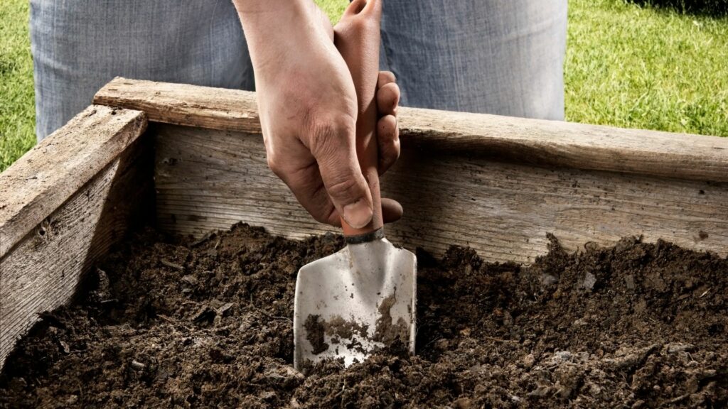 Hair Clippings in garden beds
