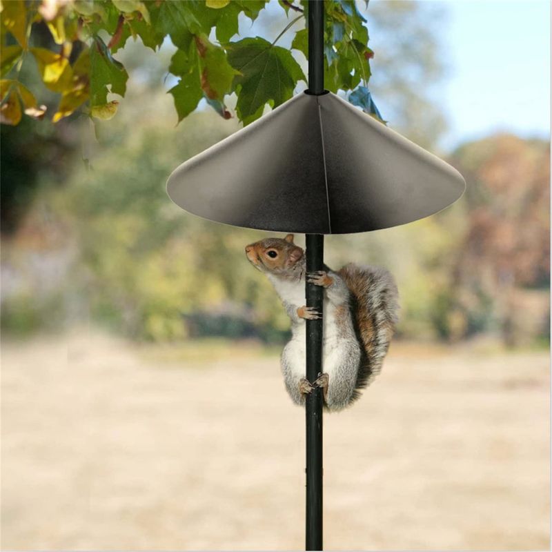 Try squirrel-proof baffles