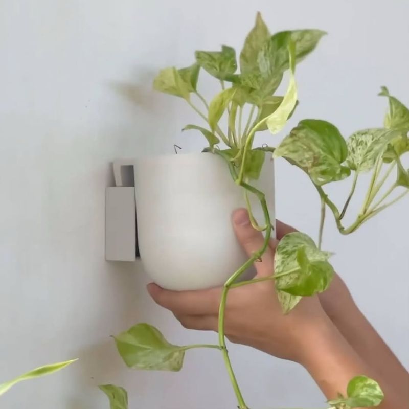 Wall-Mounted Planters