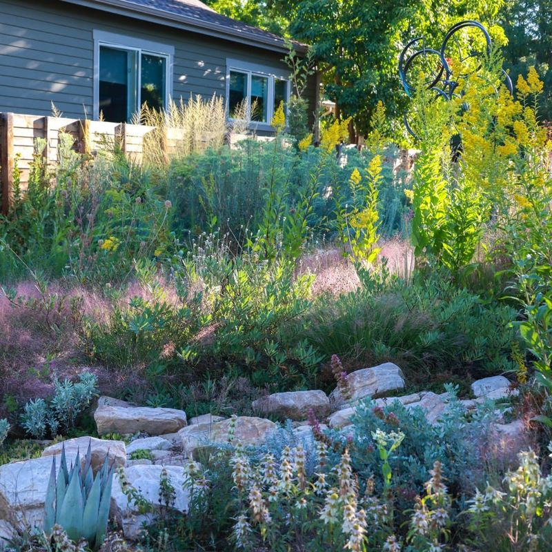 Creating Shelter with Shrubs