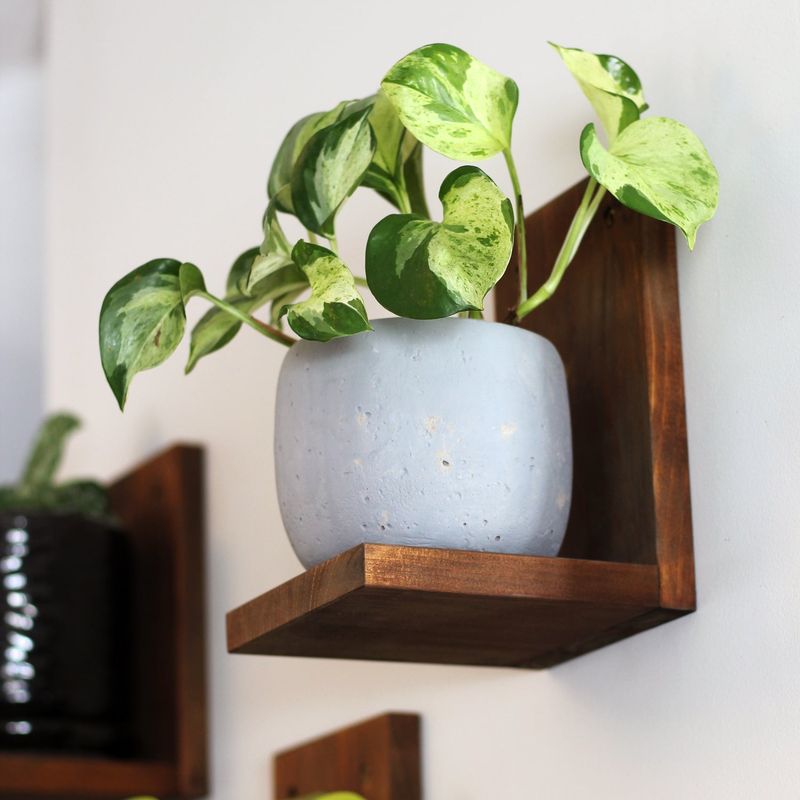 Wall-mounted shelves