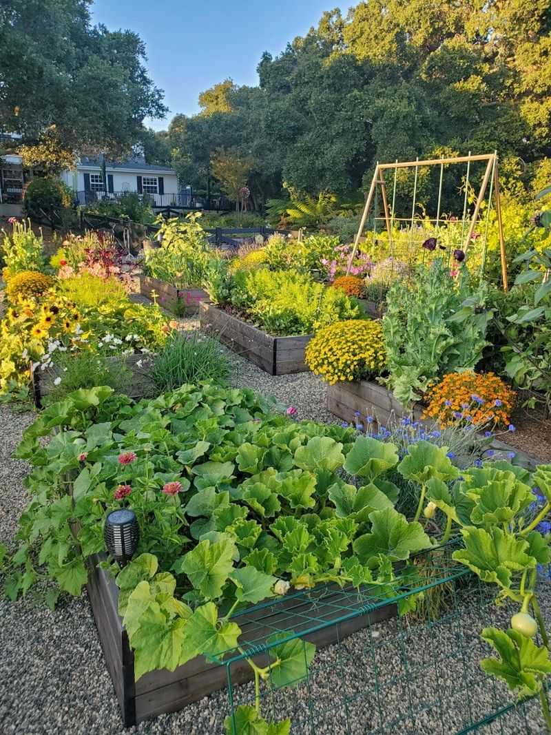 Aid in Vegetable Garden Pollination