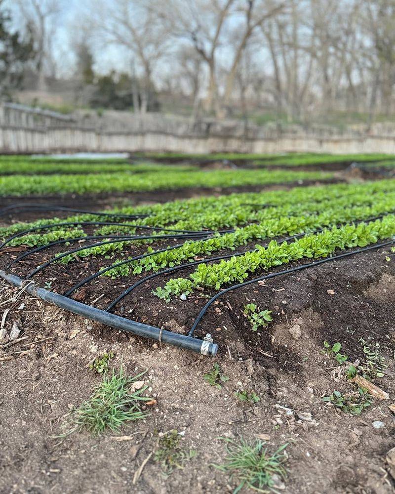 Complex Irrigation Systems