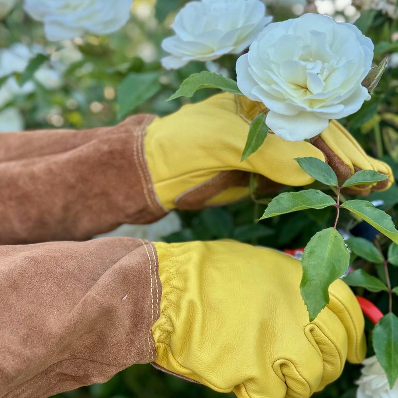 Designer Garden Gloves