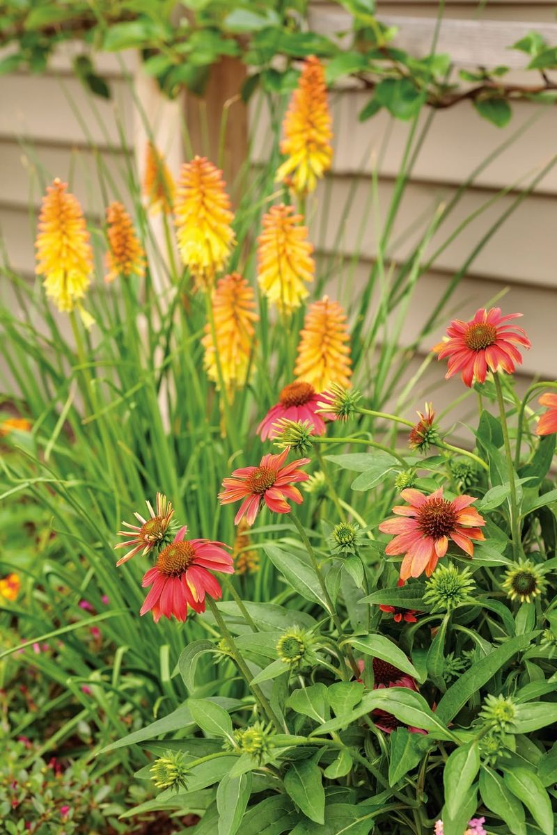 The Seasonal Growth Cycle Of Perennials