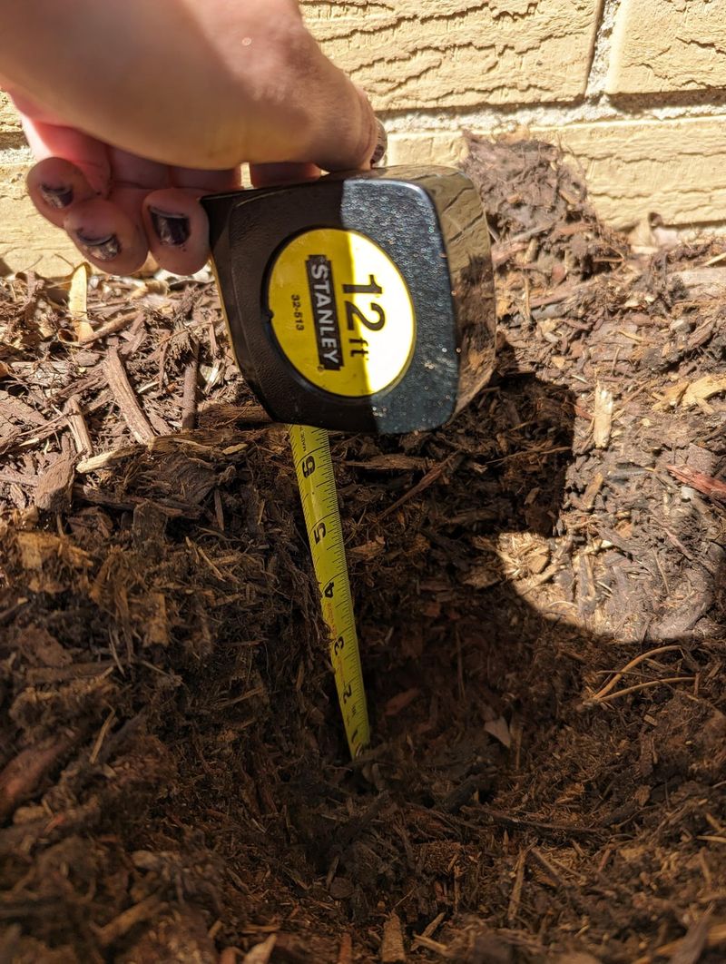 Check Mulch Depth Every Season