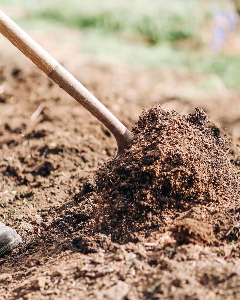 Common Soil Mistakes And How To Avoid Them