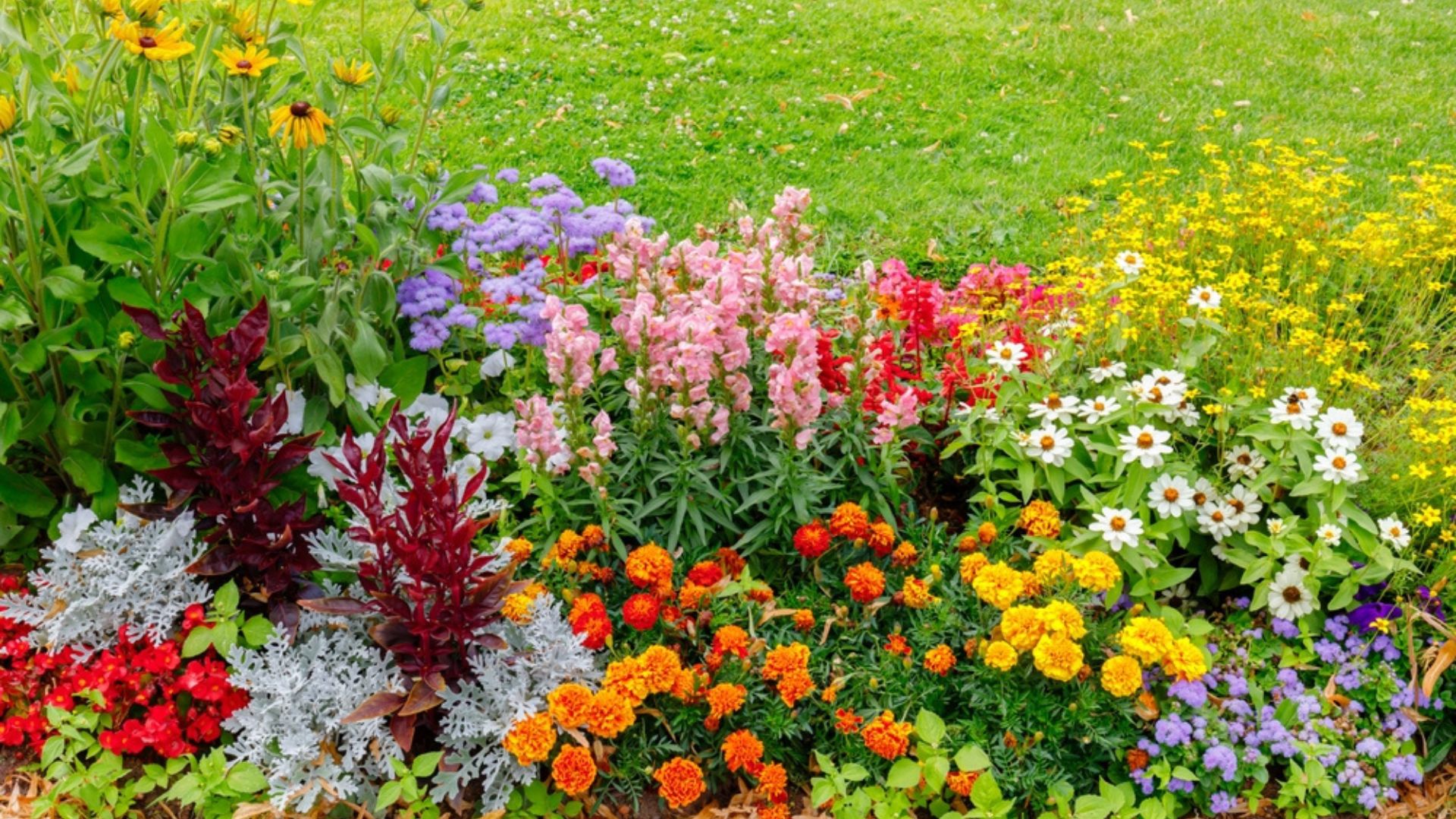 If You Need Floral Inspiration For Your Raised Bed Try These 26 Raised Flower Bed Ideas