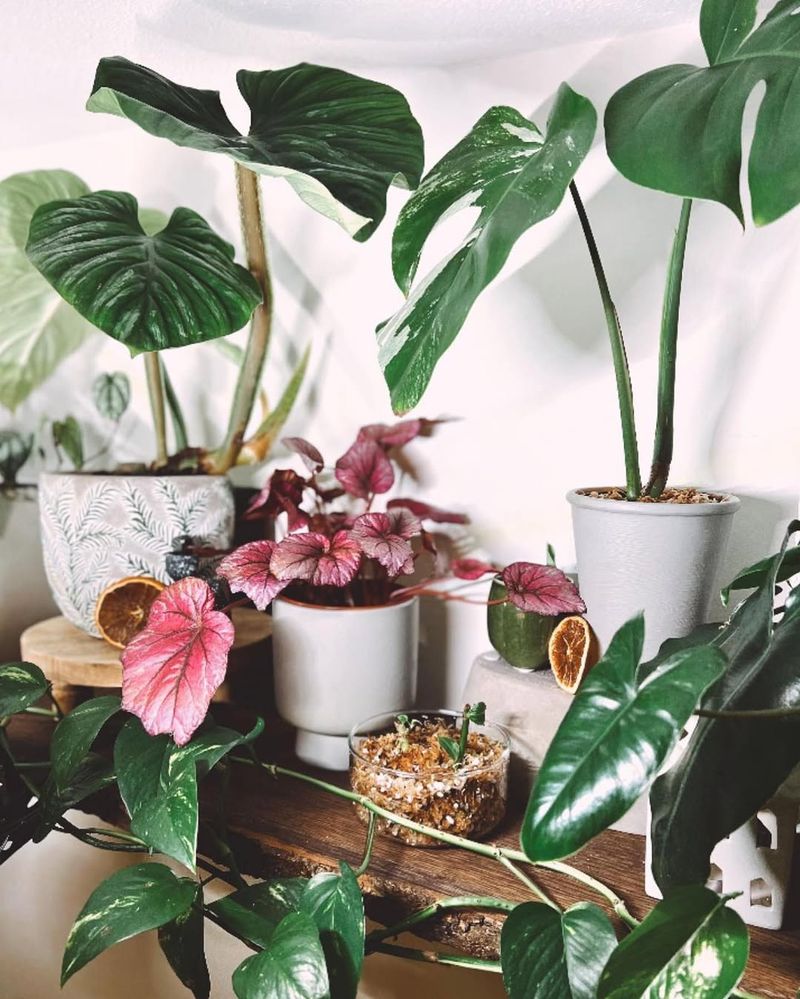 Not Washing Hands Between Plants