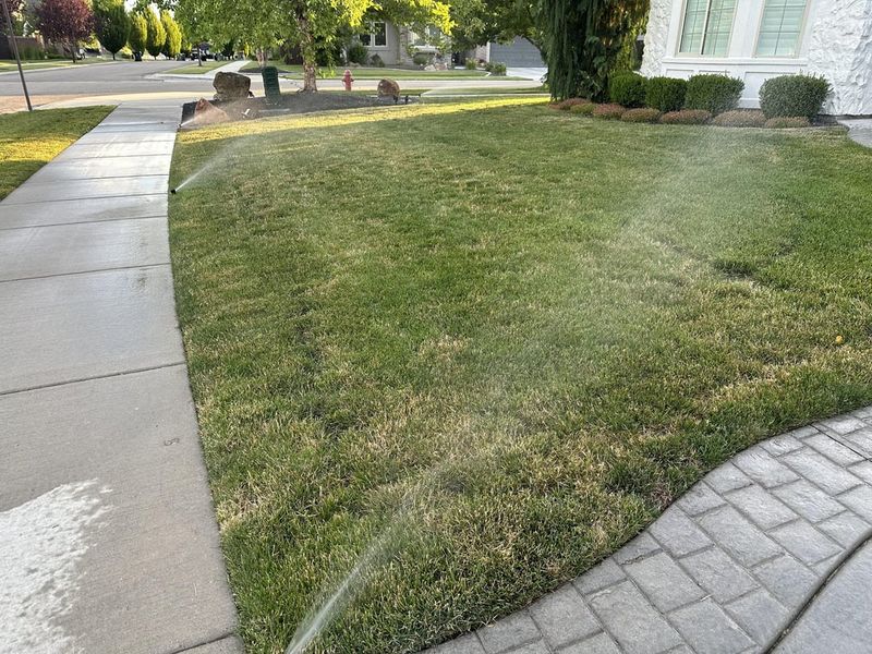 Overwatering Your Lawn