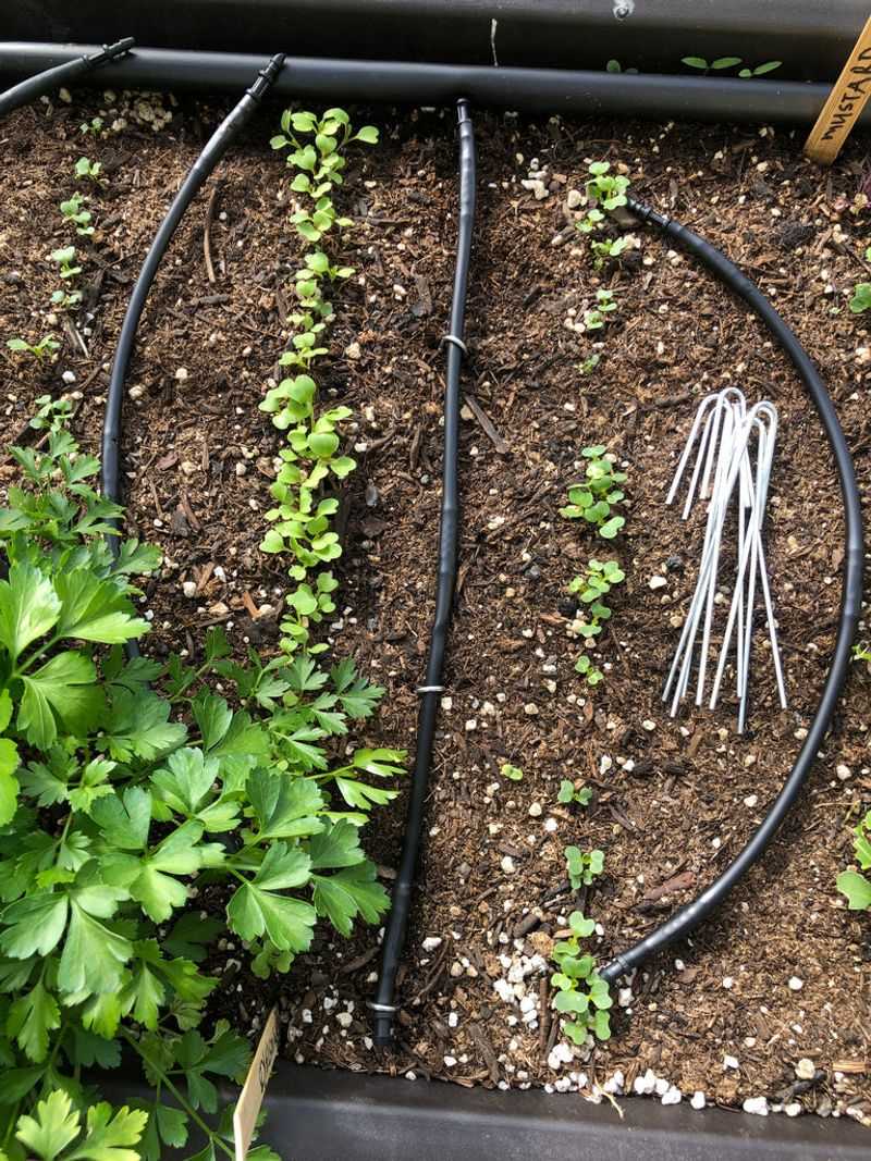 Skipping Proper Irrigation Systems