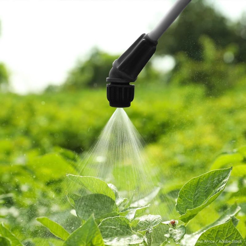 Using Chemical Pesticides