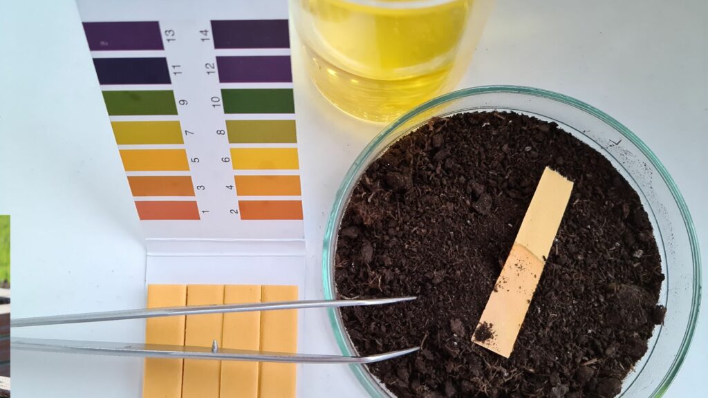 PH test soil