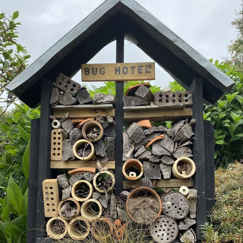 Building a Bug Hotel