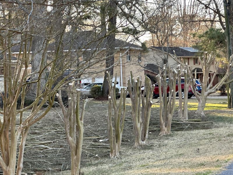 Overcrowding the Garden