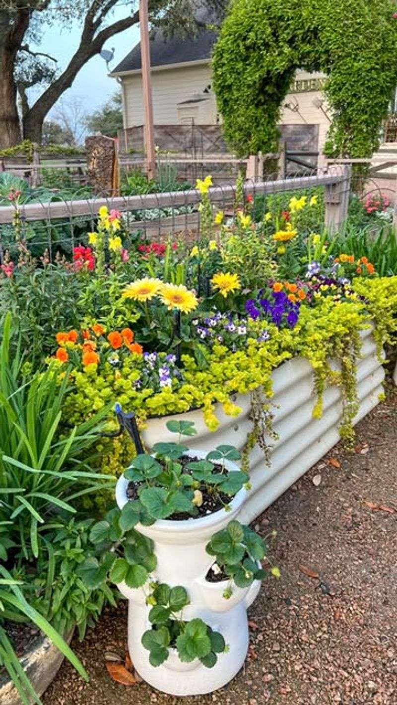 Use Raised Beds