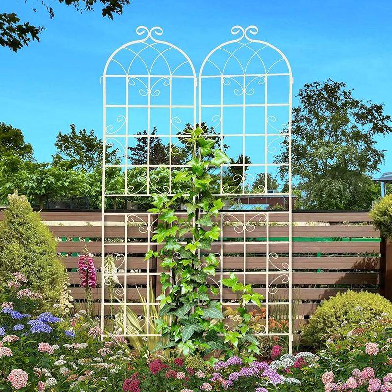 Install a Trellis for Climbing Plants