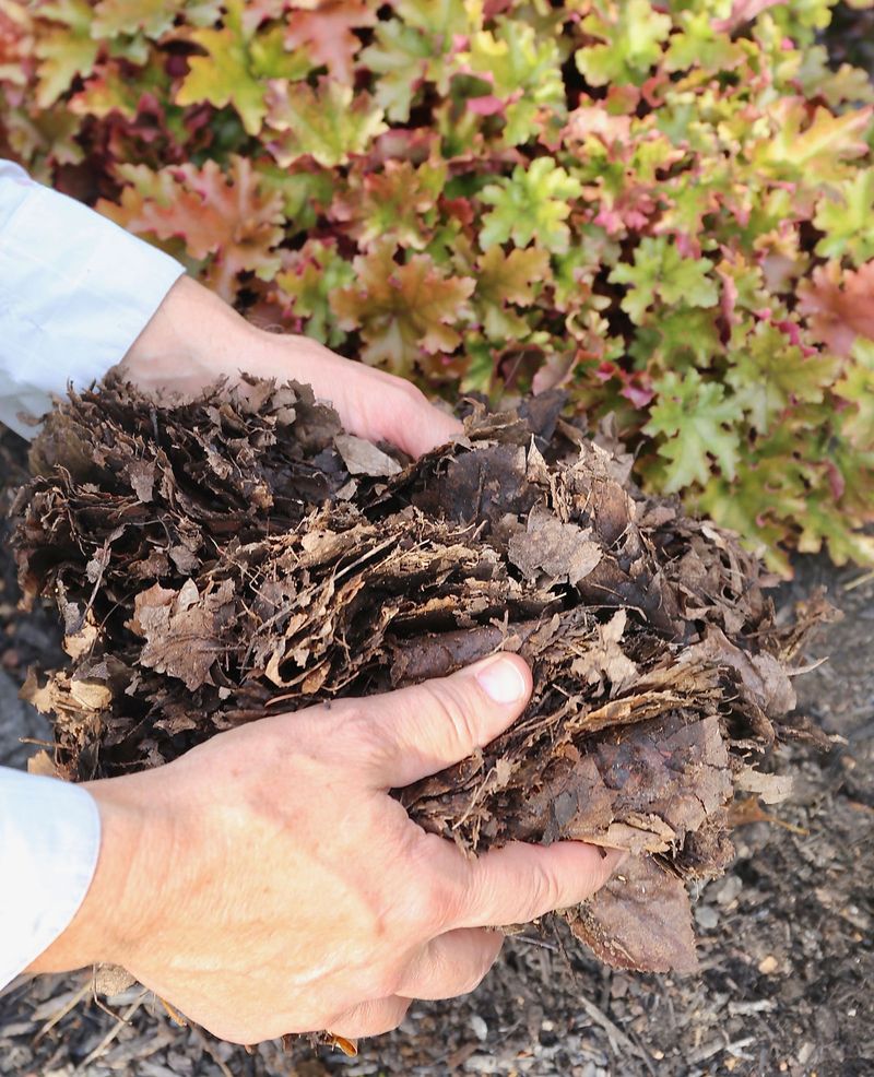 Mulch to Retain Moisture