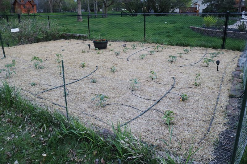 Place Emitters Where Plants Need Water