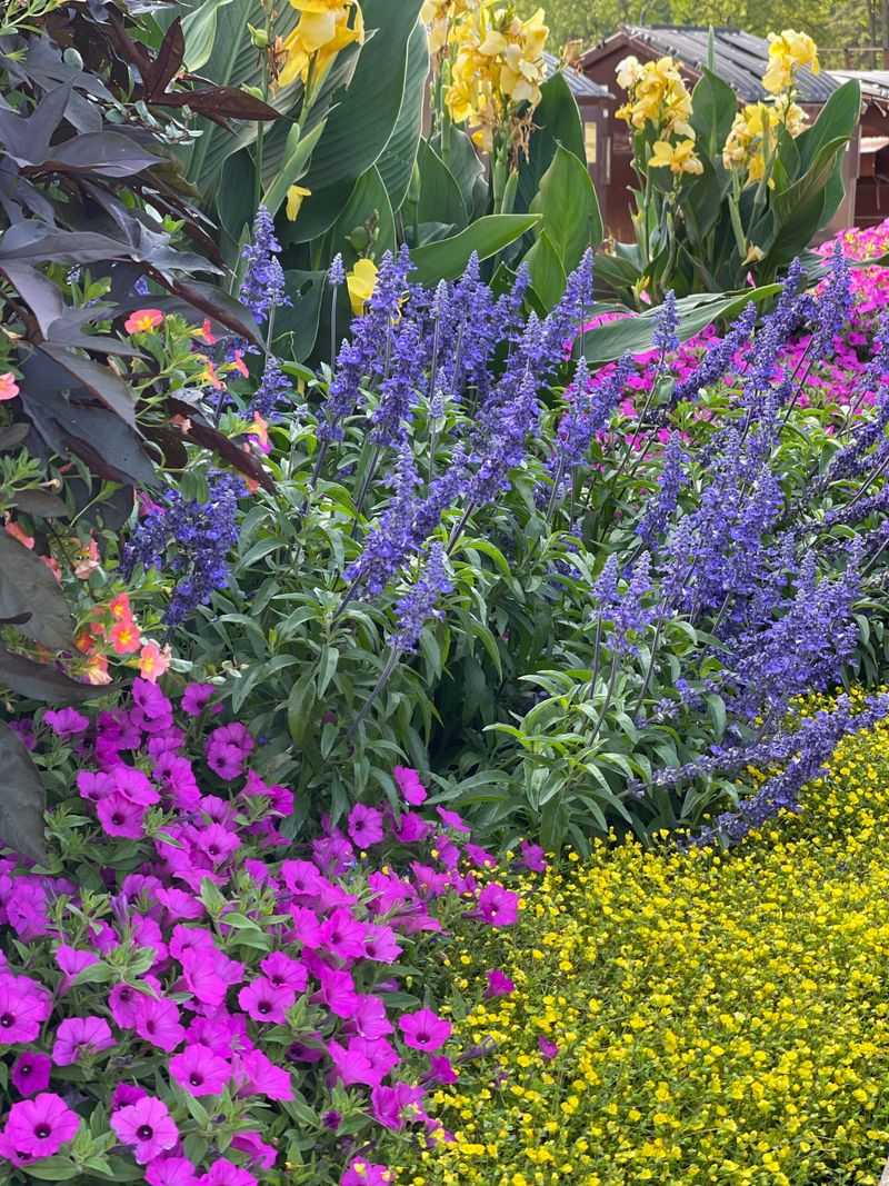 Use Colorful Flower Beds