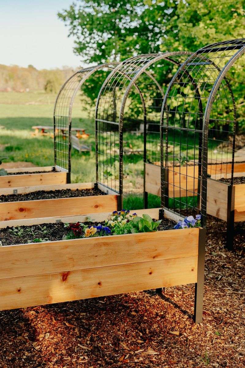 Consider Adding a Trellis or Supports