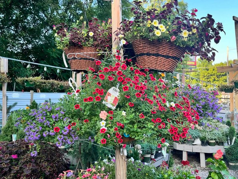 Decorate with Hanging Baskets