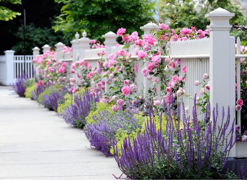 Plant a flower border