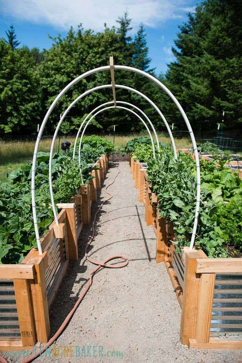 Make a Garden Trellis