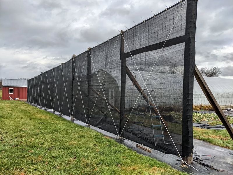 Using Windbreaks