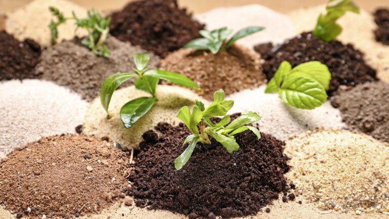 Different soil types