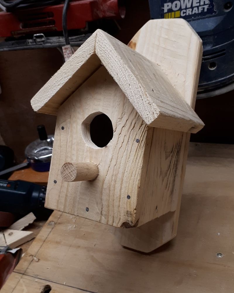 The Birdhouse Is Dirty Or Smells Bad