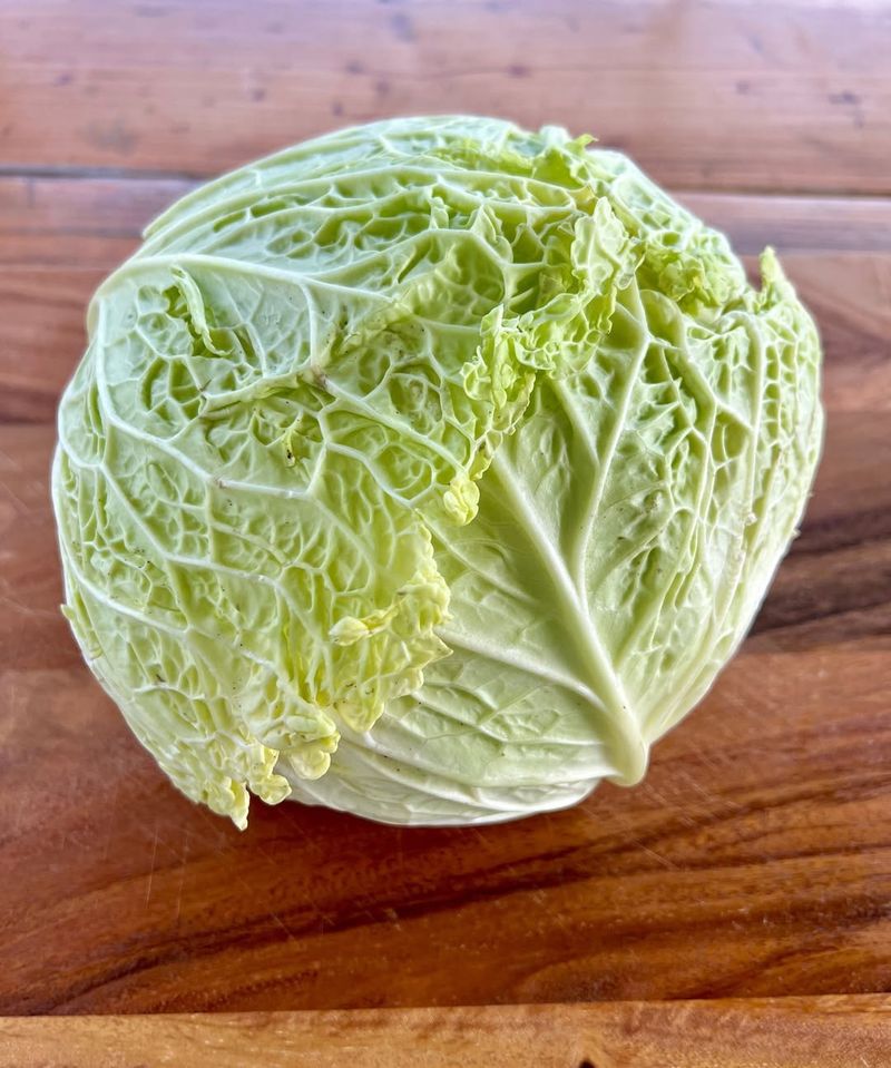 Cabbage