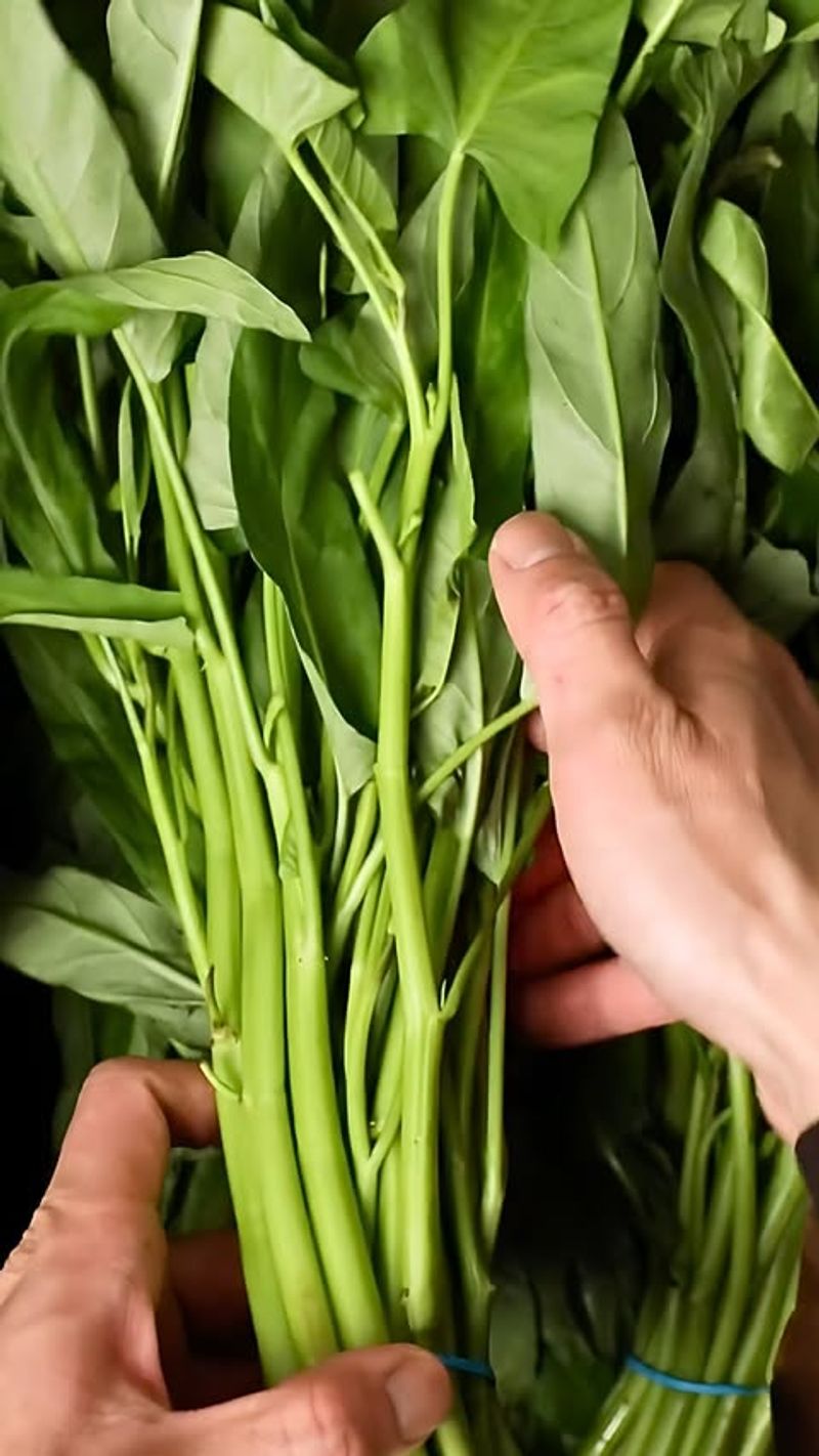 Spinach Stems