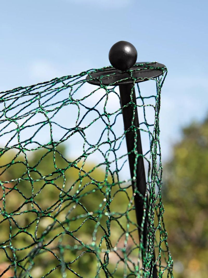 Protect from Birds by Using Netting or Bird Repellent