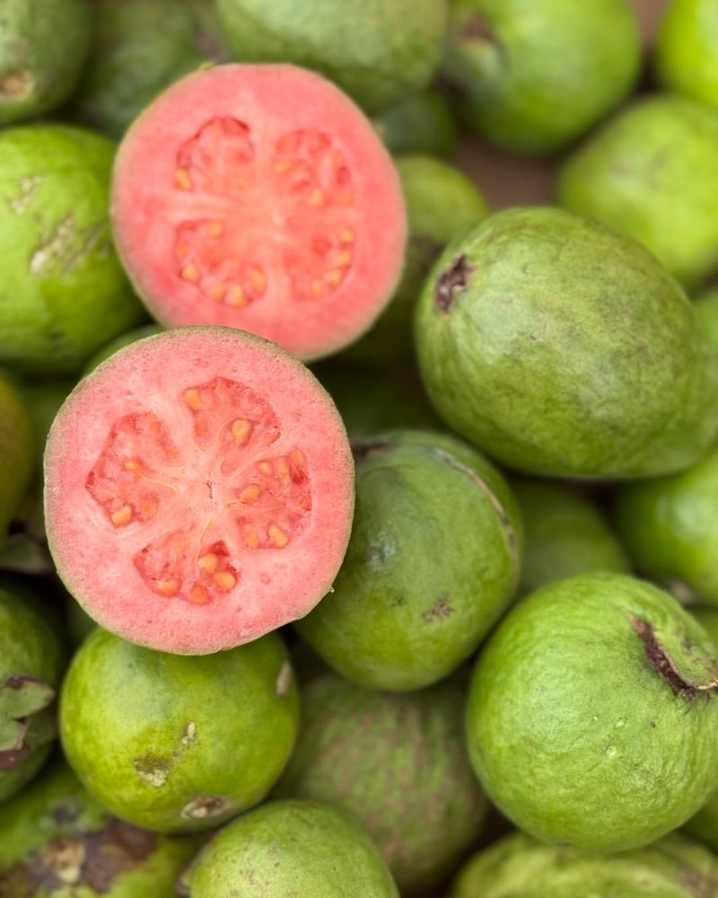 Guava