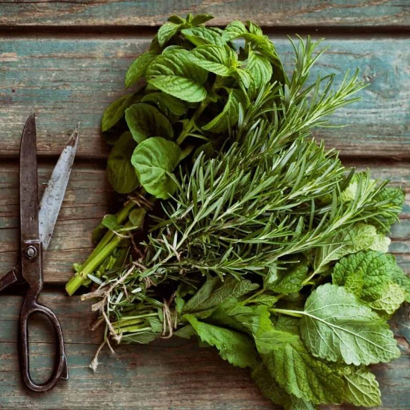 Dry or freeze excess herbs for later use