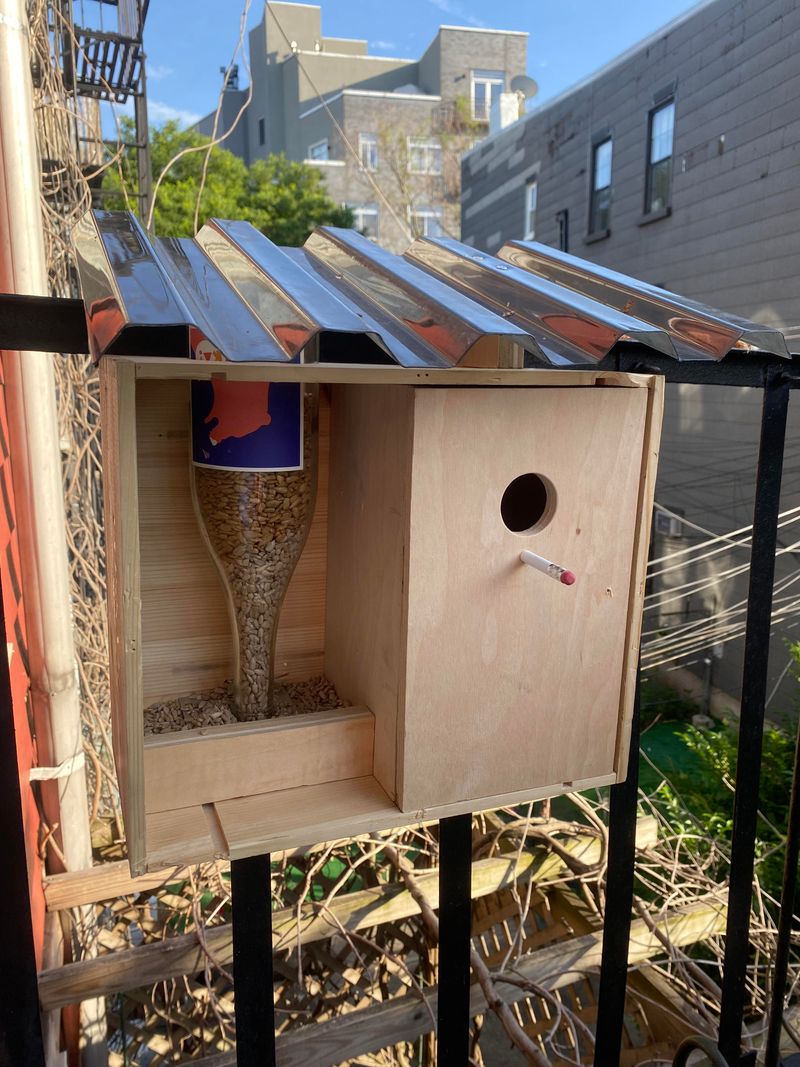 The Birdhouse Is Too Close To A Busy Road Or Noisy Area