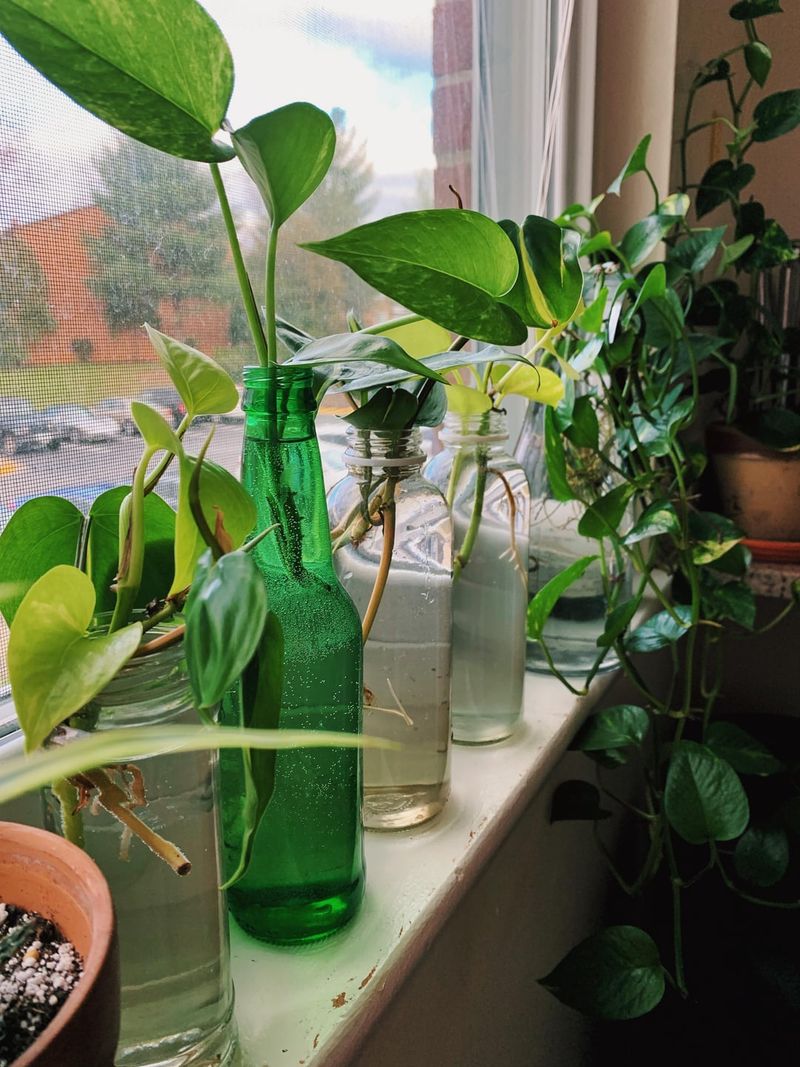 DIY Propagation Stations