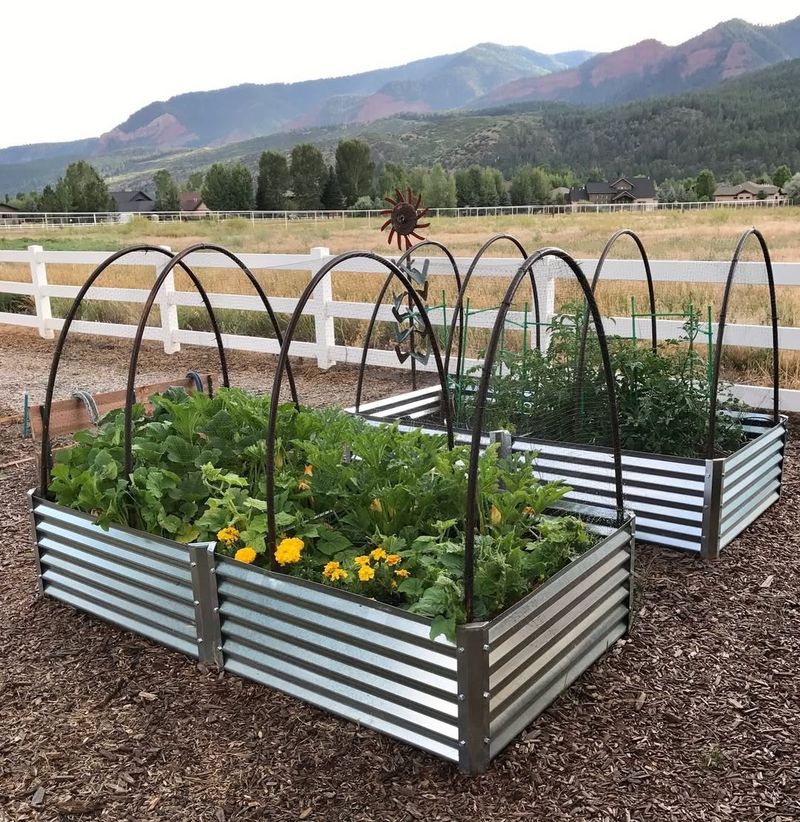 Cold Frame Beds