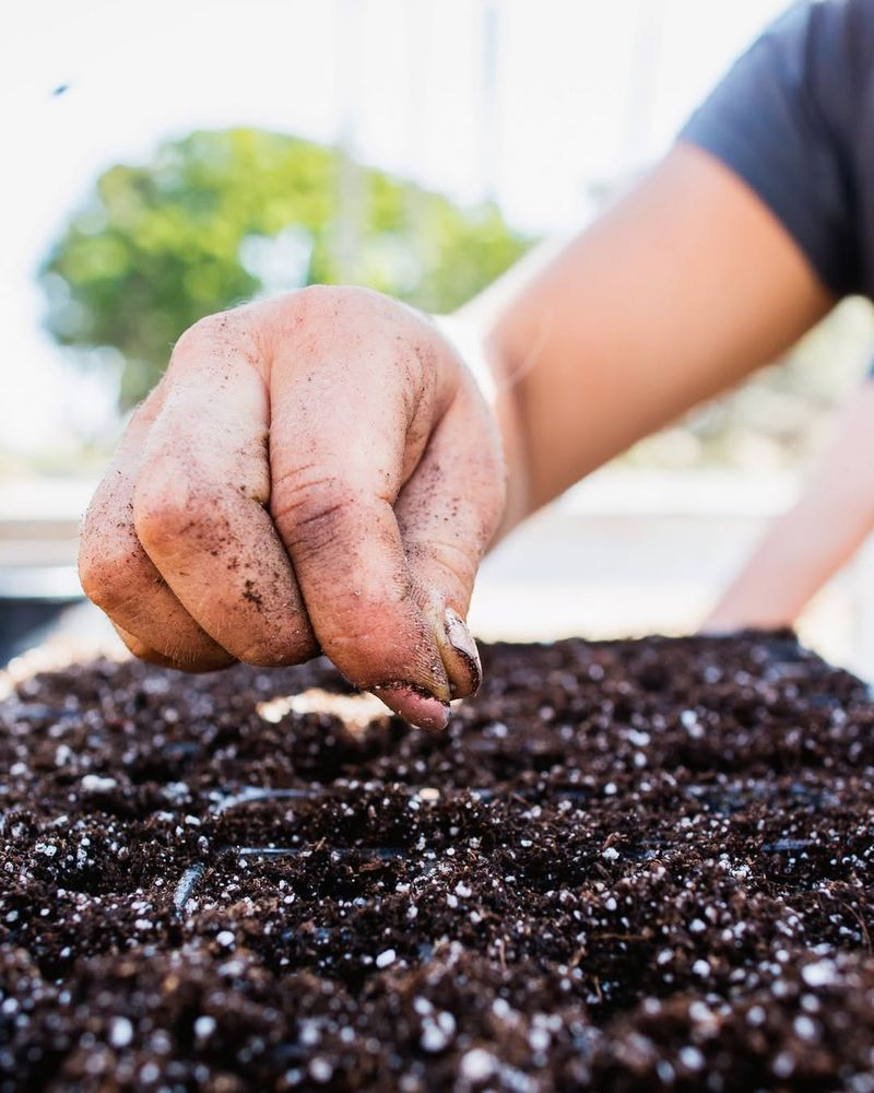 Use Natural Fertilizers