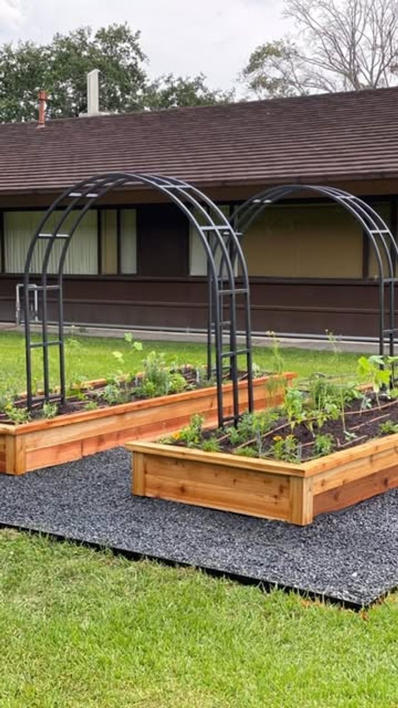 Garden Trellis