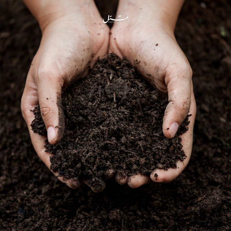 Soil Matters