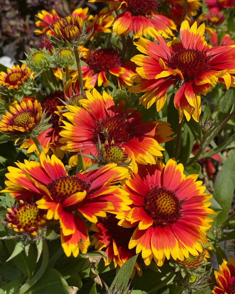 Bright and Bold Colors