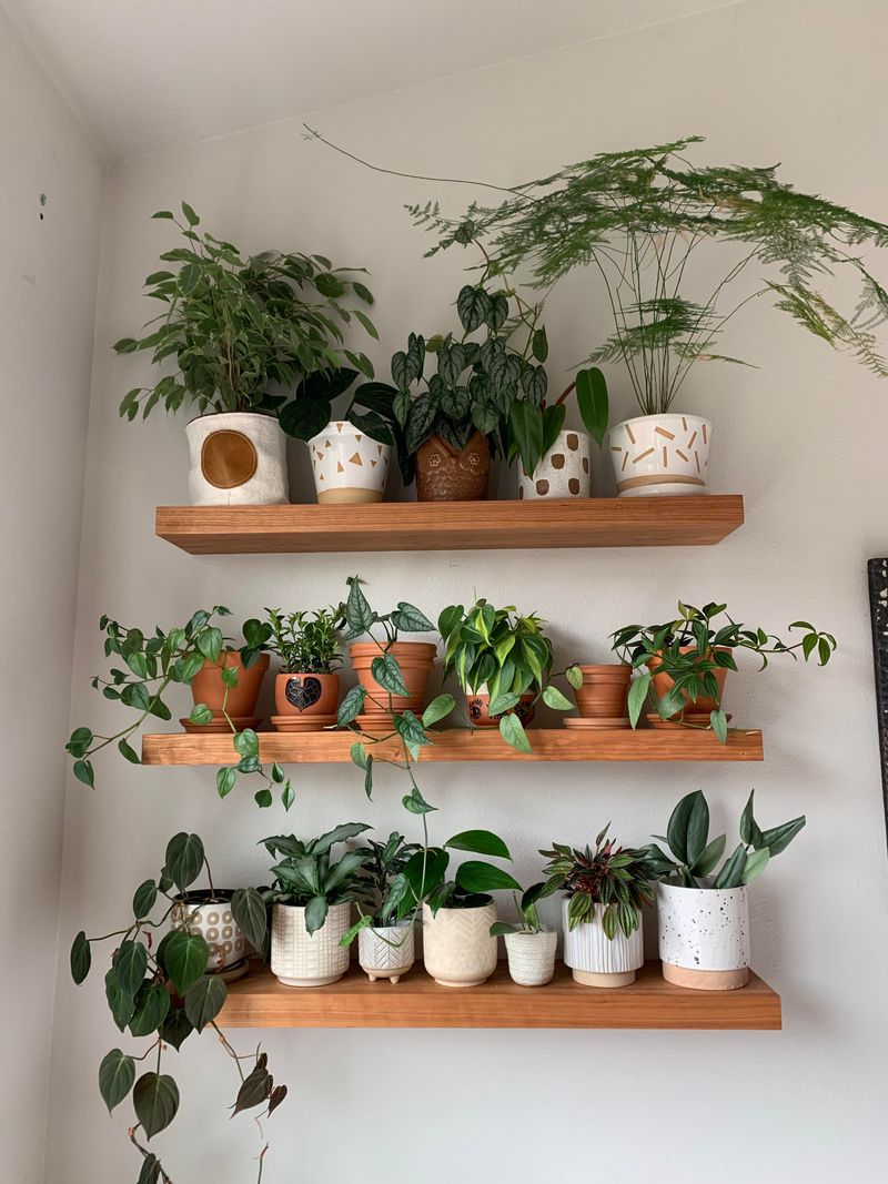 Floating plant shelves