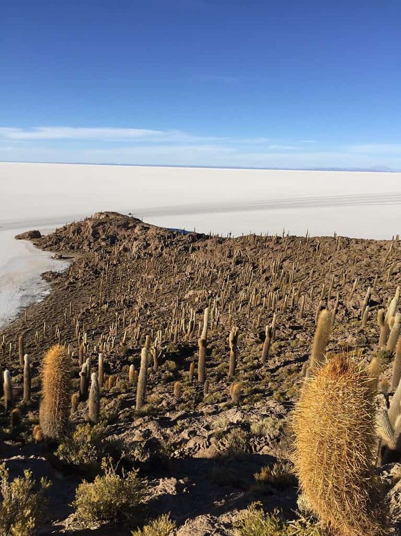 Bolivia For Cactus-Covered Salt Flats